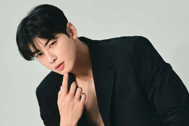 Fantagio Tanggapi Tuduhan Penggelapan Pajak Rp229 M yang Dilakukan Cha Eun Woo: Belum Dikonfirmasi Secara Final