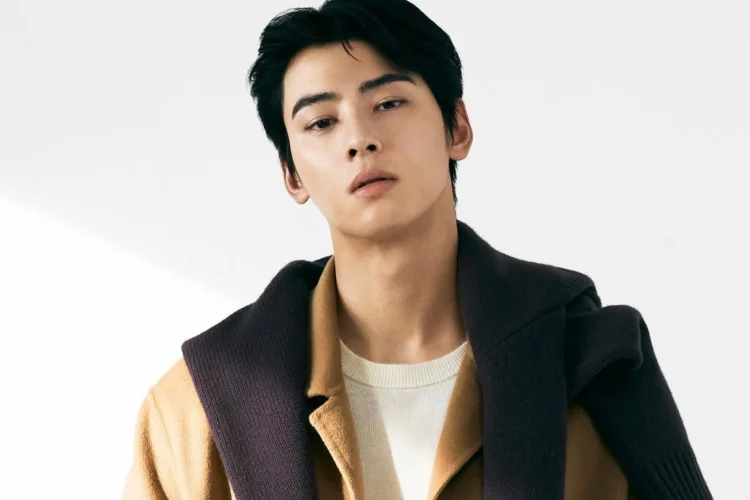 Cha Eun Woo Lalukan Penggelapan Pajak dan Tinggalkan Agensi Tahun Depan? Fantagio Hadapi Introgasi Publik 