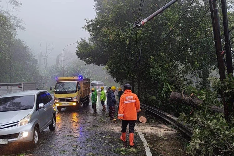 Puncak Macet Panjang Lantaran Hujan dan Angin Kencang Tumbangkan Sejumlah Pohon