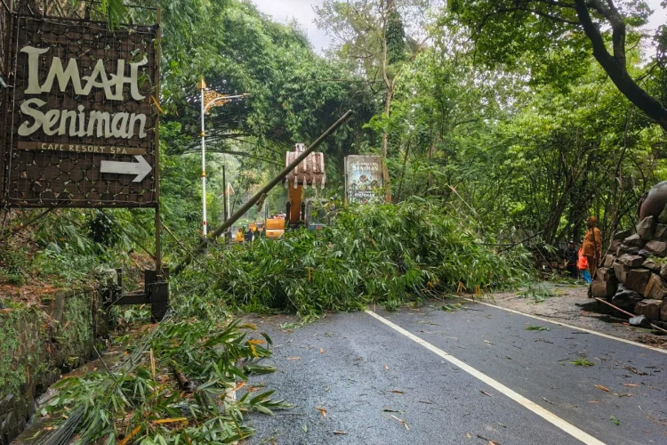 Rumpun Bambu Runtuh, Jalan Kolmas Lumpuh