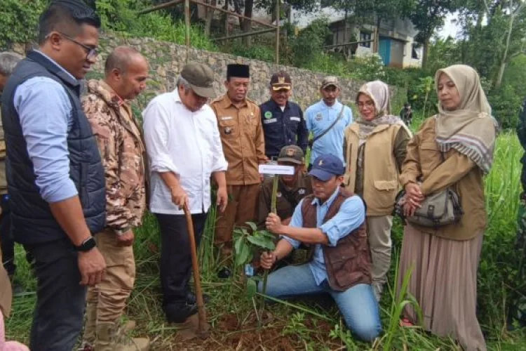 Selain Penghijauan, 2.000 Pohon CSR bjb Jadi PADes Mekarwangi