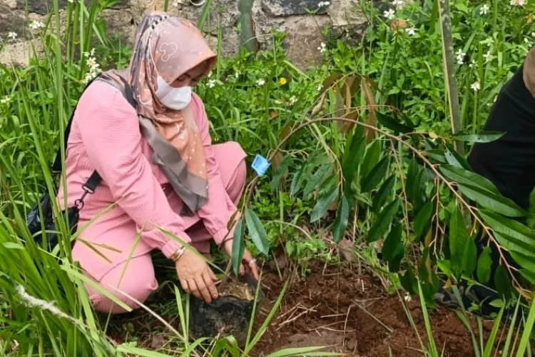 2.000 Pohon Keras dari CSR bjb Jaga Lahan Curam Lembang dari Longsor