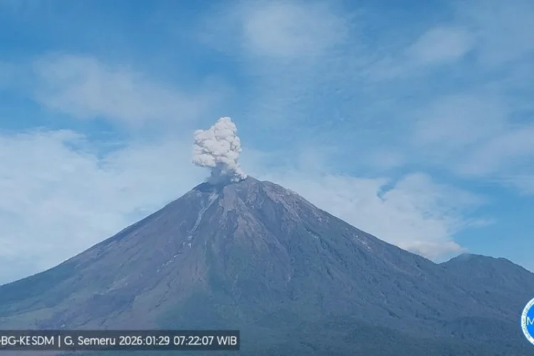Gunung Semeru Erupsi dengan Tinggi Letusan 700 Meter