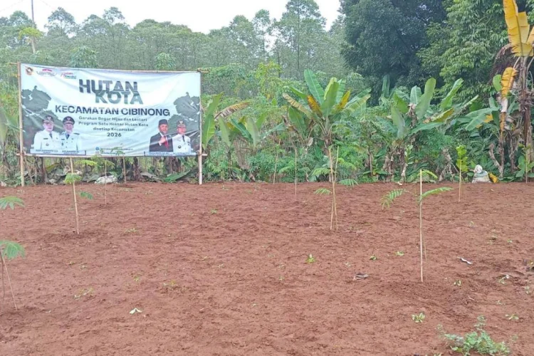 Luas Hutan Kota di Cibinong Bertambah jadi 2,7 Hektare