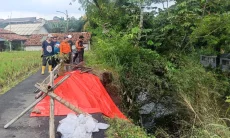 Januari 2026, Kecamatan Bogor Selatan Terbanyak Dilanda Bencana