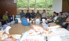 Jalankan 500 Hektare Jagung untuk Negeri, Polda Jabar Bangun Kampung Jagung Ciherang