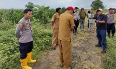 Polda Jabar Siap Tanam Jagung 120 Ha di Sumedang, Survei Lahan Tahap Awal Rampung