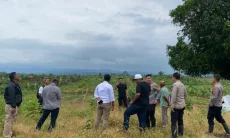 Polda Jabar dan PTPN 1 Tanam Jagung Seluas 110 Hektare di Cikalong Wetan