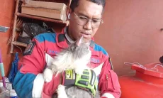 Kucing Terjepit Toren Air Diselamatkan Damkar Sektor Parungpanjang