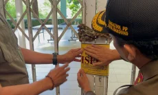Bandung Zoo Disegel, Pekerja dan UMKM Terdampak hingga Nasib Ratusan Satwa Disorot