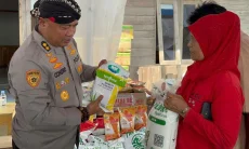 Dukung Ketahanan Pangan, Polda Jabar Tanam Jagung pada Lahan 172 Hektare di Sumedang