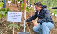 PTPN I Regional 2 Dukung Kabupaten Bogor Kembali Hijau dan Asri