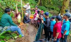 Reaksi Dedie A Rachim Melihat Langsung Bunga Bangkai Mekar di Kebun Raya Bogor