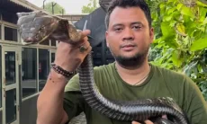 Panji Petualang Bagikan Tips Hadapi Ular di Permukiman