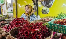 Jelang Ramadan Cabai Rawit  di Cirebon Nyaris Tembus Rp100 Ribu per Kilogram