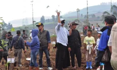 Petani Sayuran Pangalengan Bandung Tanam 50 Ribu Pohon