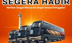 Mudik Gratis 2026 DKI Jakarta, Ini Syarat dan Ketentuan hingga Waktu Pendaftaran