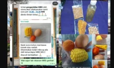 Paket MBG di Bondowoso Ramadhan Disorot, Warga Keluhkan Isi Dinilai Tak Layak