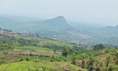 Program Selasa Menanam Dicanangkan Pemkab Bogor di Puncak Dua
