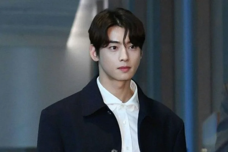 Cha Eun Woo Hadapi Krisis Karier Dampak dari Dugaan Penggelapan Pajak Rp232 M