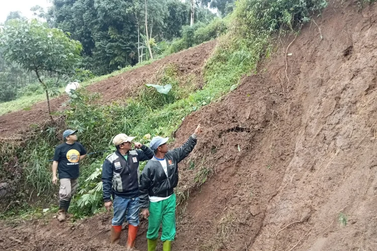 Sikap Kami: Pilu Membiru