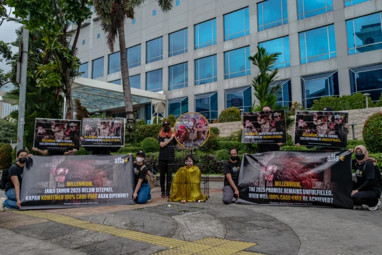 Millennium Hotel Melewati Tenggat Waktu Komitmen Bebas Sangkar