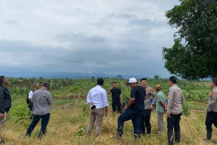 Polda Jabar dan PTPN 1 Tanam Jagung Seluas 110 Hektare di Cikalong Wetan