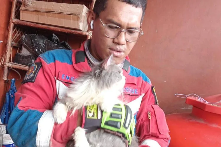 Kucing Terjepit Toren Air Diselamatkan Damkar Sektor Parungpanjang
