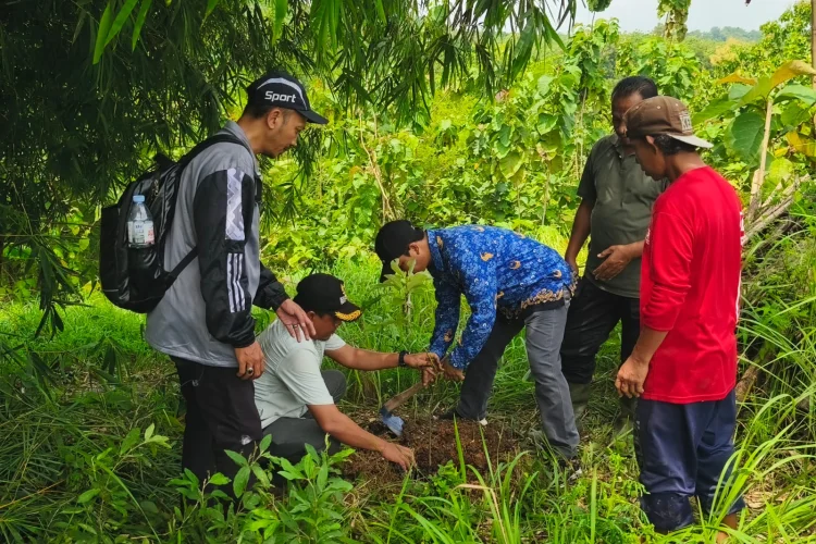 Sawit Ilegal tinggal Kenangan, Lahan Cigobang Kini Ditanami Komoditas Produktif