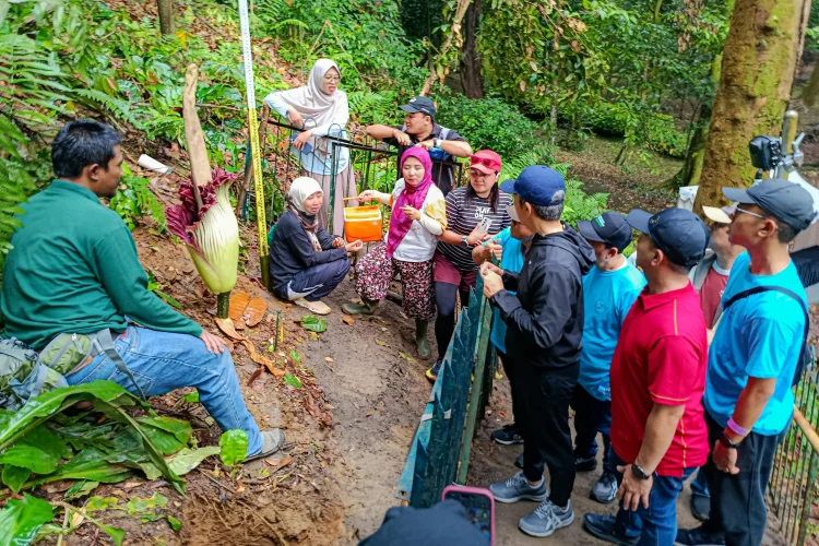Reaksi Dedie A Rachim Melihat Langsung Bunga Bangkai Mekar di Kebun Raya Bogor