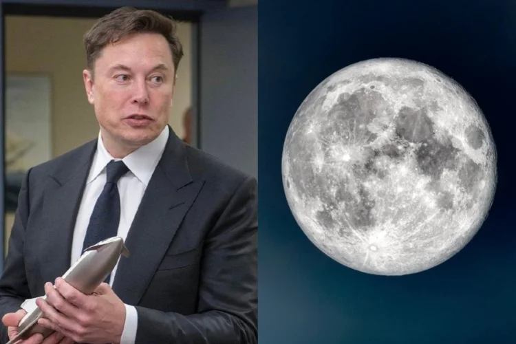 Misi Mars Ditunda, Elon Musk akan Fokus Bangun Kota di Bulan