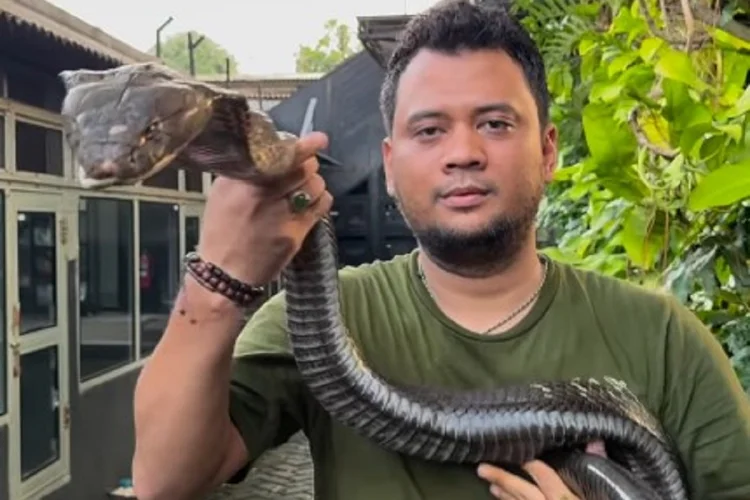 Panji Petualang Bagikan Tips Hadapi Ular di Permukiman