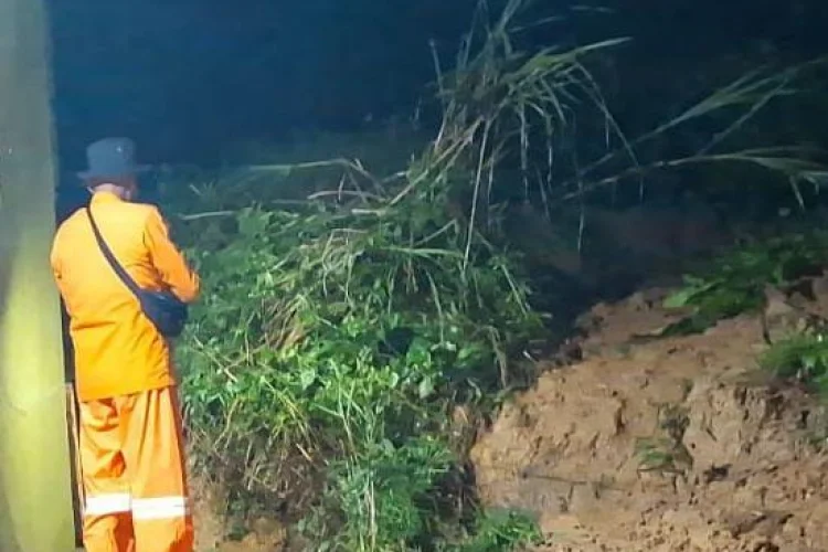 Longsor di Perbatasan Citeureup – Sukamakmur, Akses Jalan Terganggu