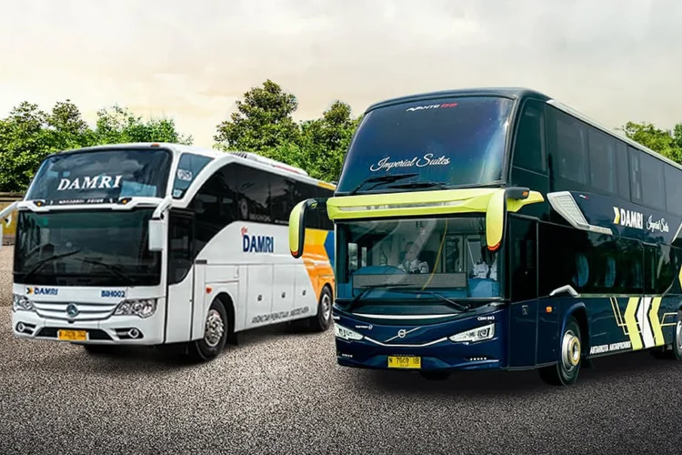 Ini Rute Bus, Titik Berangkat dan Pemberhentian Mudik Gratis 2026 Dishub Jabar