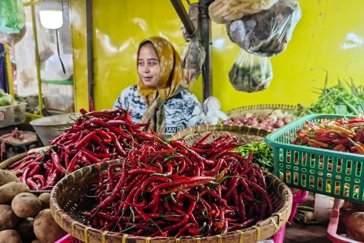 Jelang Ramadan Cabai Rawit  di Cirebon Nyaris Tembus Rp100 Ribu per Kilogram