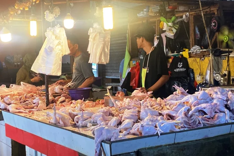 Harga Ayam di Pasar Sumber Cirebon Naik hingga Rp40 Ribu, Pedagang Kurangi Stok