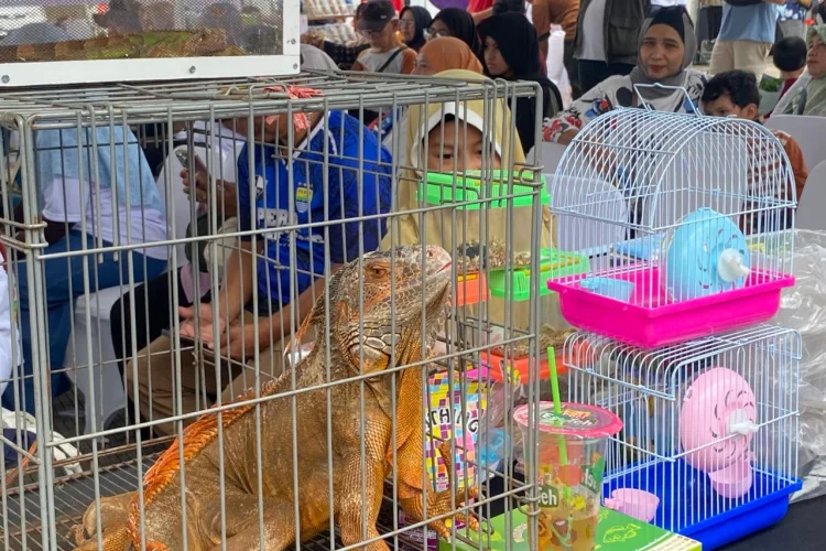 DKPP Integrasikan Data Kesehatan Hewan untuk Cegah Zoonosis di Kota Bandung