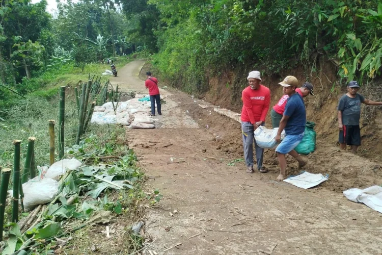 Buntut Longsor Jalan Usaha Tani, Aktivitas Petani Mangga Terganggu