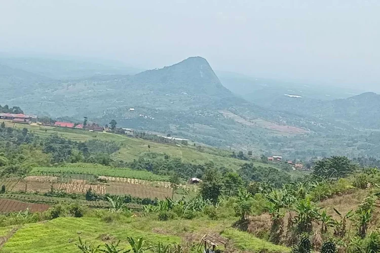 Program Selasa Menanam Dicanangkan Pemkab Bogor di Puncak Dua