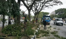 FOTO: Pemangkasan dan Pemeliharaan Pohon Jalan Soekarno Hatta Bandung