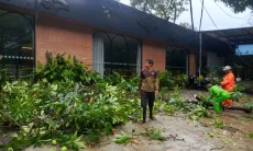 Hujan Deras Disertai Angin Sebabkan Dahan Pohon Bintaro Patah di Parkiran Aroem Resto