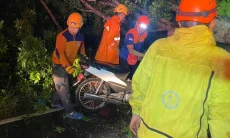 Cuaca Ekstrem di Jember, Ibu dan Anak Tertimpa Pohon Tumbang