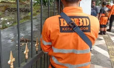 Musang Terluka di Istana Bogor Dievakuasi BPBD Kota Bogor