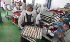 FOTO: Lebaran 2026, J&C Cookies Produksi Ratusan Lusin Kue Kering