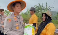 Polresta Bandung Tanam Jagung Serentak 4 Hektare di Cikancung