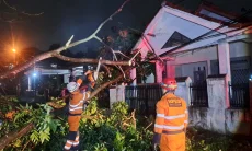 Hujan Deras dan Angin Kencang Tumbangkan Tiga Pohon di Sempur Bogor