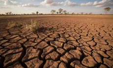 BMKG Warning! El Nino Moderat Ancam Jabar, Puncak Kemarau Diprediksi Agustus