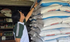 Jaga Stabilitas Pupuk Subsidi di Karawang, Pupuk Indonesia Kirim 200 Ton NPK