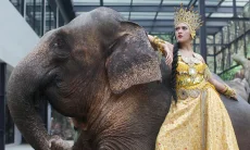 Bangun Mini Zoo Pakansari, Pemkab Bogor Tunggu Kelanjutan dari Taman Safari Indonesia