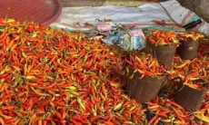 Harga Cabai Rawit Makin Melejit, Tembus Rp131.000 per kg Jelang Lebaran